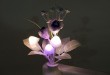 Creative обичай LED гъби роза Тип сензор светлина светлина контрол