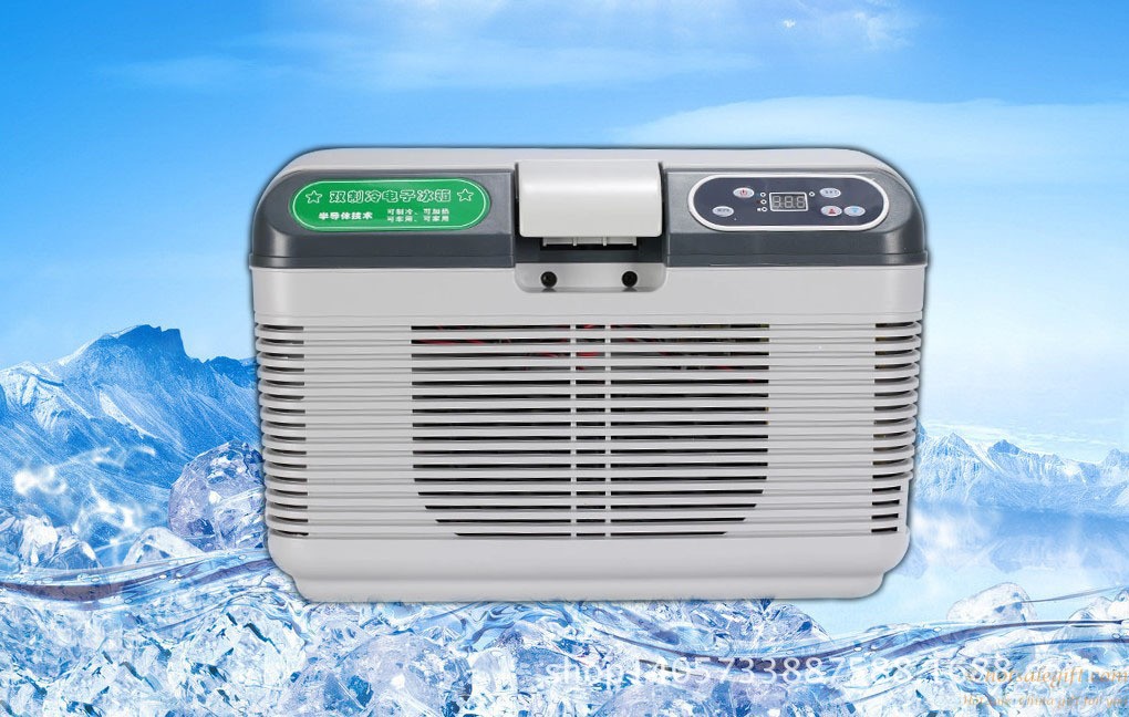 hotsalegift hot sale 12v 220v household 12l car mini freezer refrigerator 3