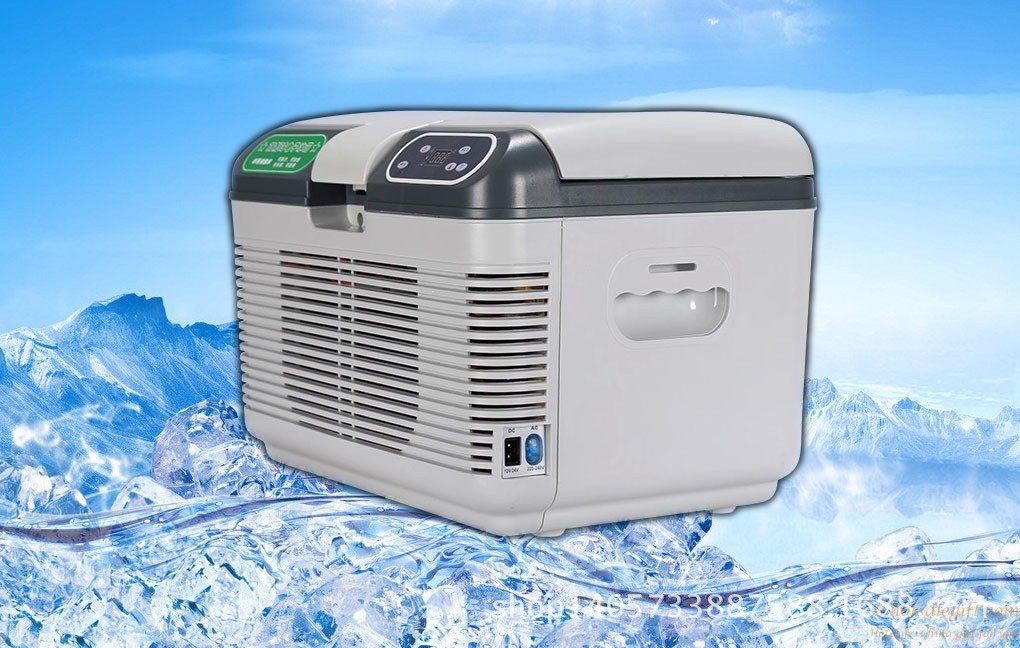 hotsalegift hot sale 12v 220v household 12l car mini freezer refrigerator 4