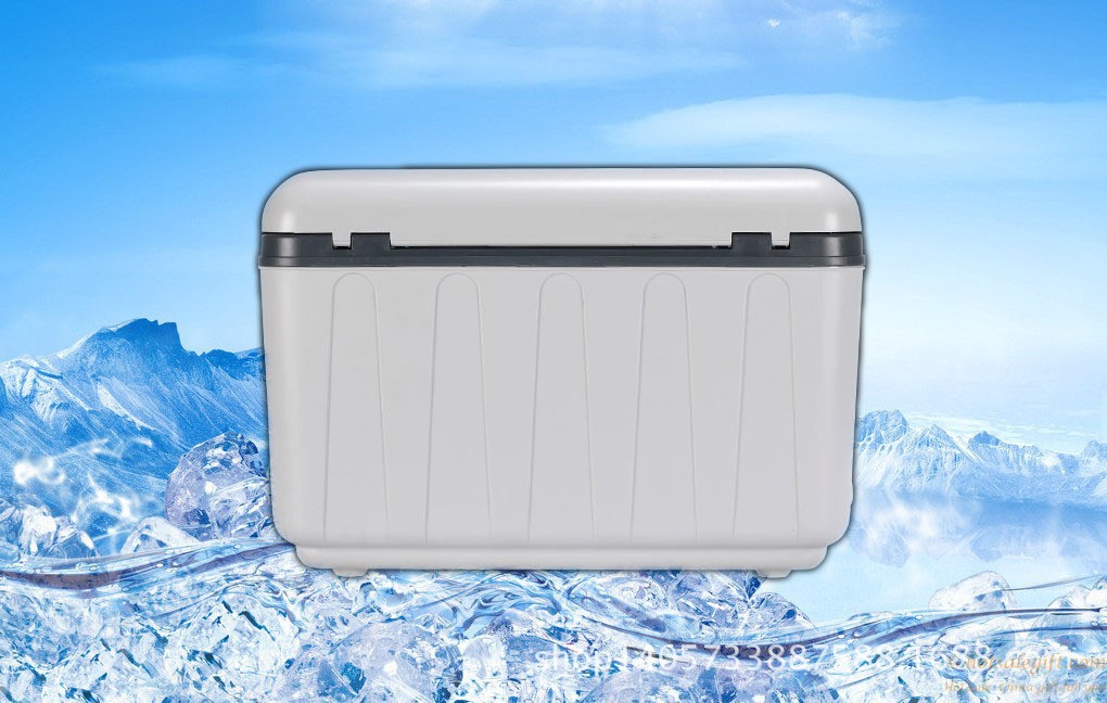 hotsalegift hot sale 12v 220v household 12l car mini freezer refrigerator 6