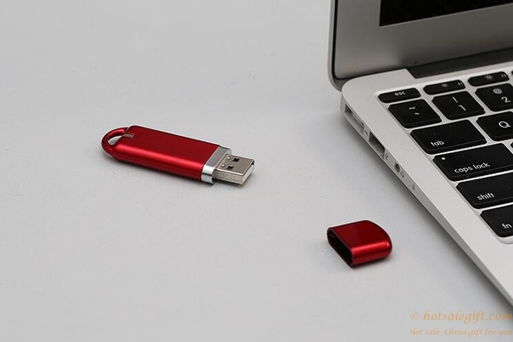 hotsalegift oem custom logo promotional gift disk flash drive