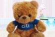 OEM promotional teddy bear doll plush toys